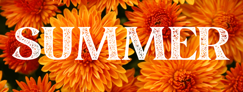 A closeup of orange mums with white lettering saying "Fall".