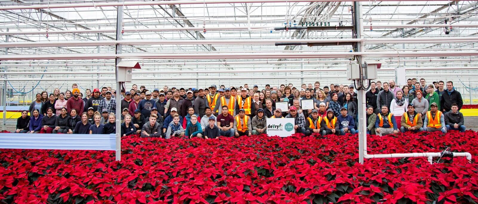 A huge group of Devry employees smiling for a photo in the middle of a greenhouse with red poinsettias in the foreground.
