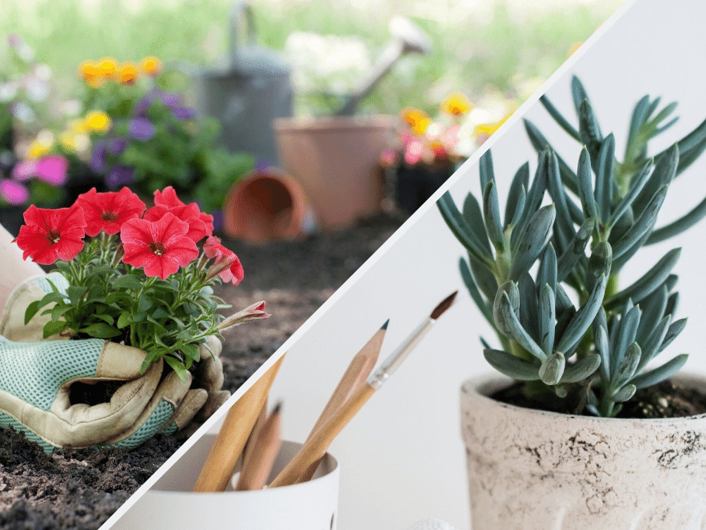 Hnds in gardening gloves cupping red flowers and a succulent pot next to some pencils and paint brushes.