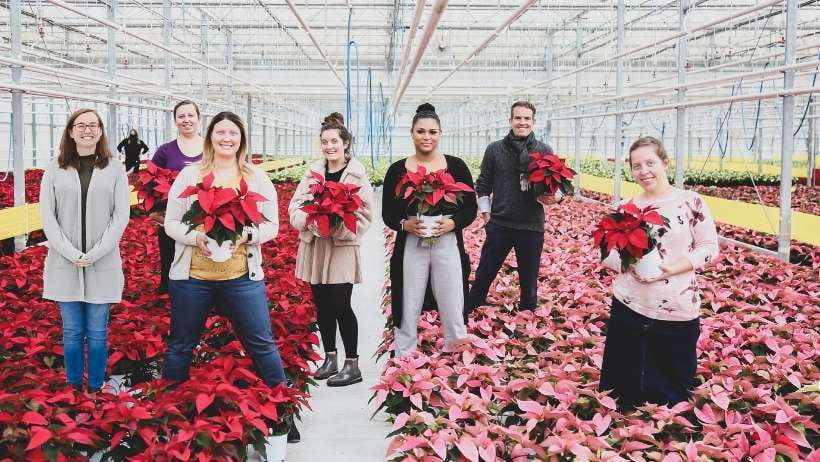 one man and six women holding red and pink poinsettias in a greenhouse