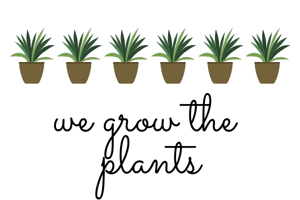 A line of potted green plants and "We Grow The Plants" written in black cursive writing.