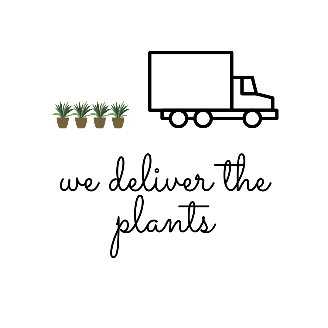 A picture of four potted green plants behind a a delivery truck with the words "We deliver the plants" in black cursive lettering.